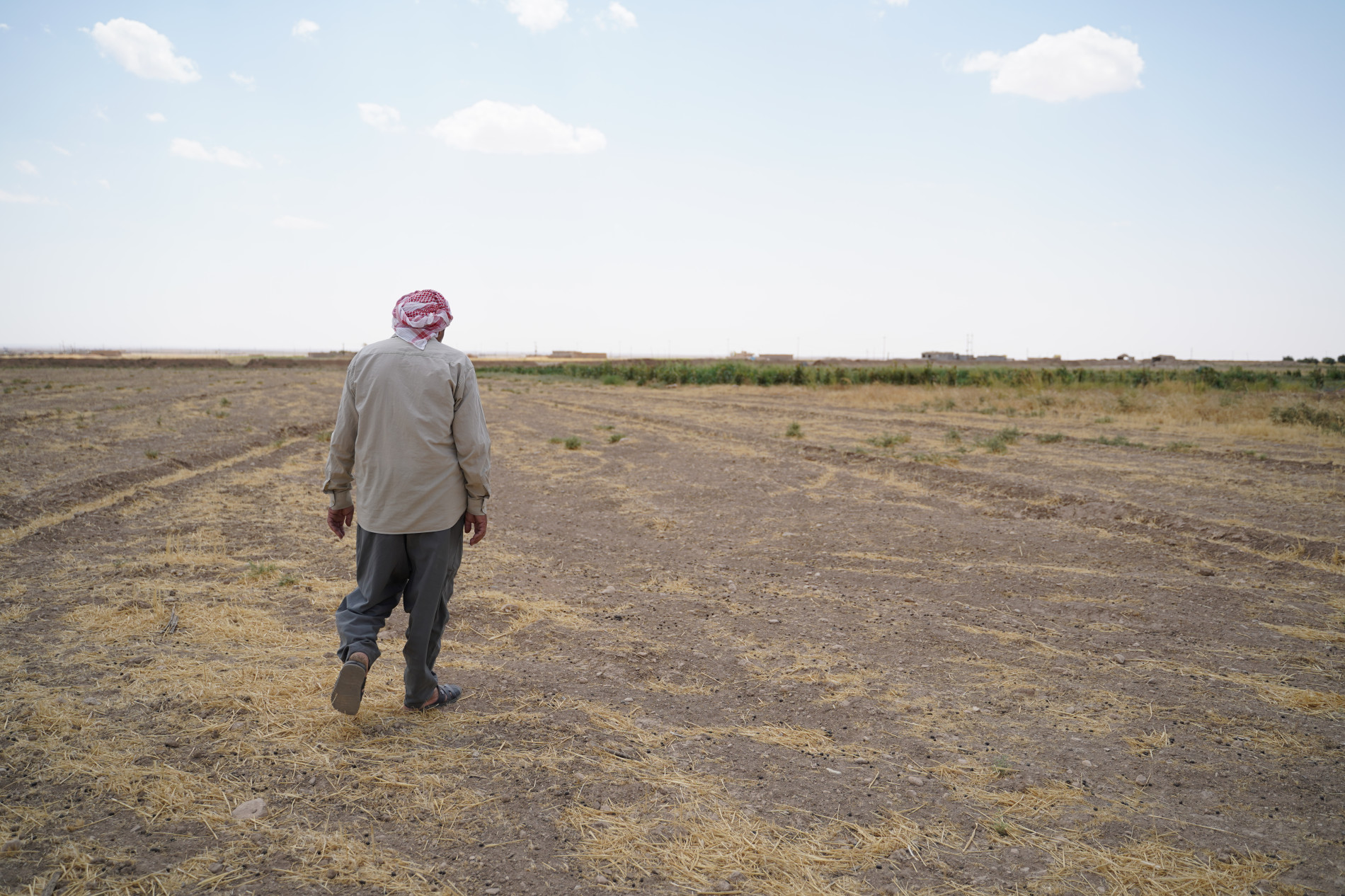 المناعة المناخية